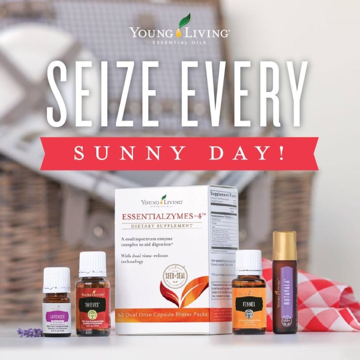 19577228_10156354815826982_5524972618086562209_o