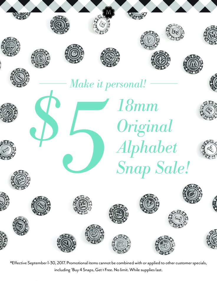 13530-Alphabet_Snap_Flyer_US