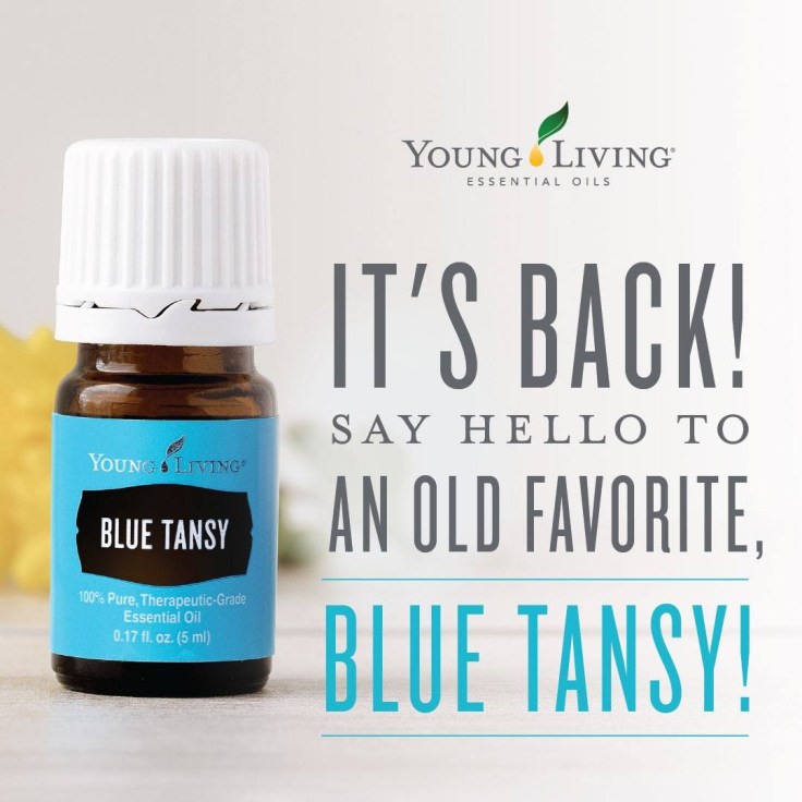 Blue Tansy